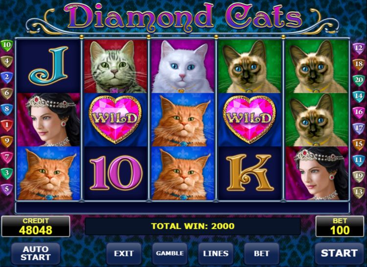 Diamond cats amatic big win