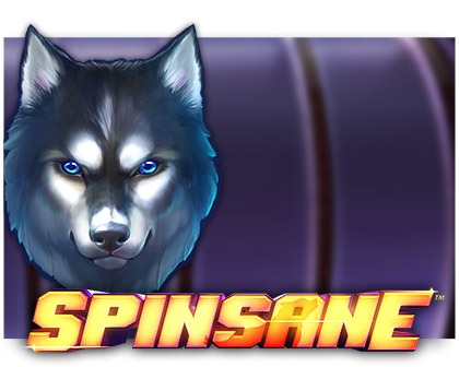 spinsane-slot review